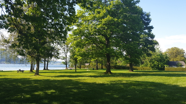 Landesbad Weyregg – mit Blick zum Baum, unter dem Josef und Gerti Raab den Sommer verbringen – „ihr Stammplatz“