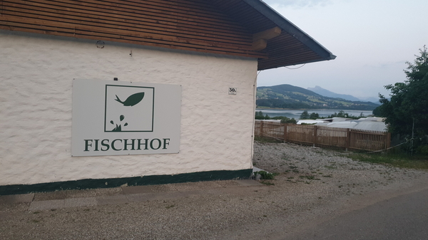 Camping “Fischhof” am Irrsee. 