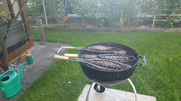 Forellen Grillen über Buchenholz