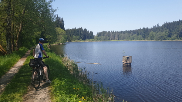 Typisch böhmischer Fischteich