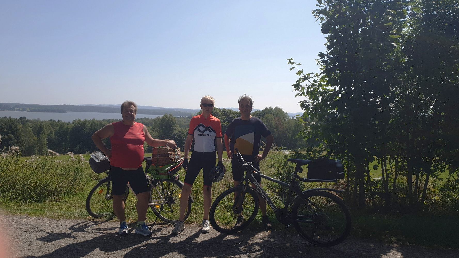 Blick zum Moldaustausee im Hintergrund